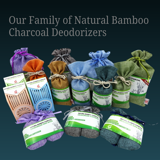 Collection of Natural Bamboo Charcoal Deodorizers by Great Value SG