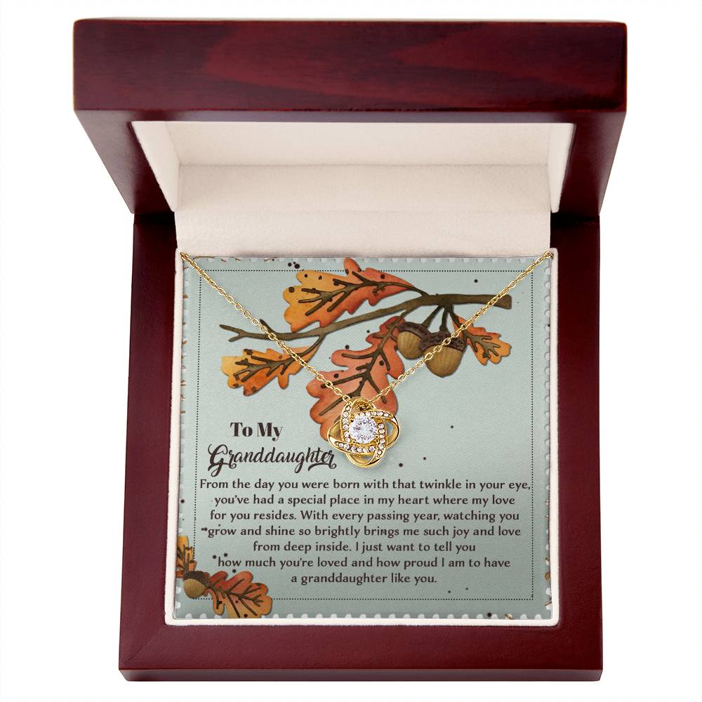 The Granddaughter-From Deep Inside - Love Knot Necklace, featuring a stunning gold finish and a circular pendant, is elegantly presented in a wooden box. Inside, you'll find an illustrated card decorated with autumn leaves and an inscription that starts with "To My Granddaughter." The addition of cubic zirconia enhances the sparkle of this treasured keepsake.