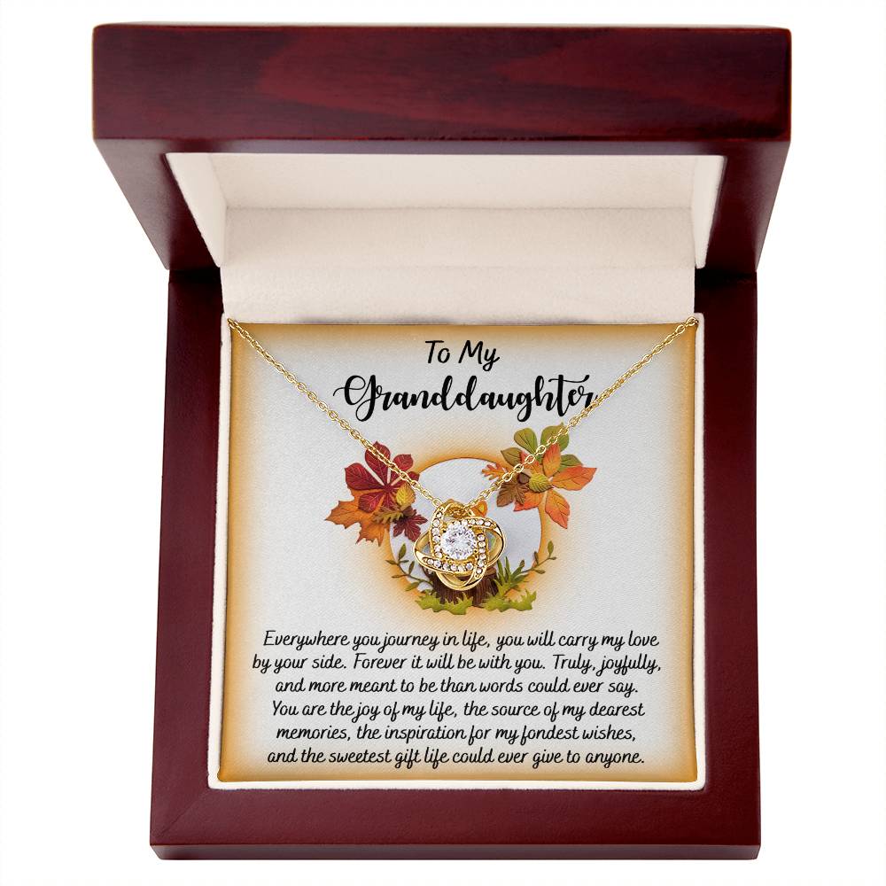 The Granddaughter-By Your Side - Love Knot Necklace, crafted in white gold, comes beautifully packaged in a gift box with the message "To My Granddaughter" and an accompanying heartfelt note. The necklace showcases a circular pendant embellished with leaf accents and features a central cubic zirconia gem.