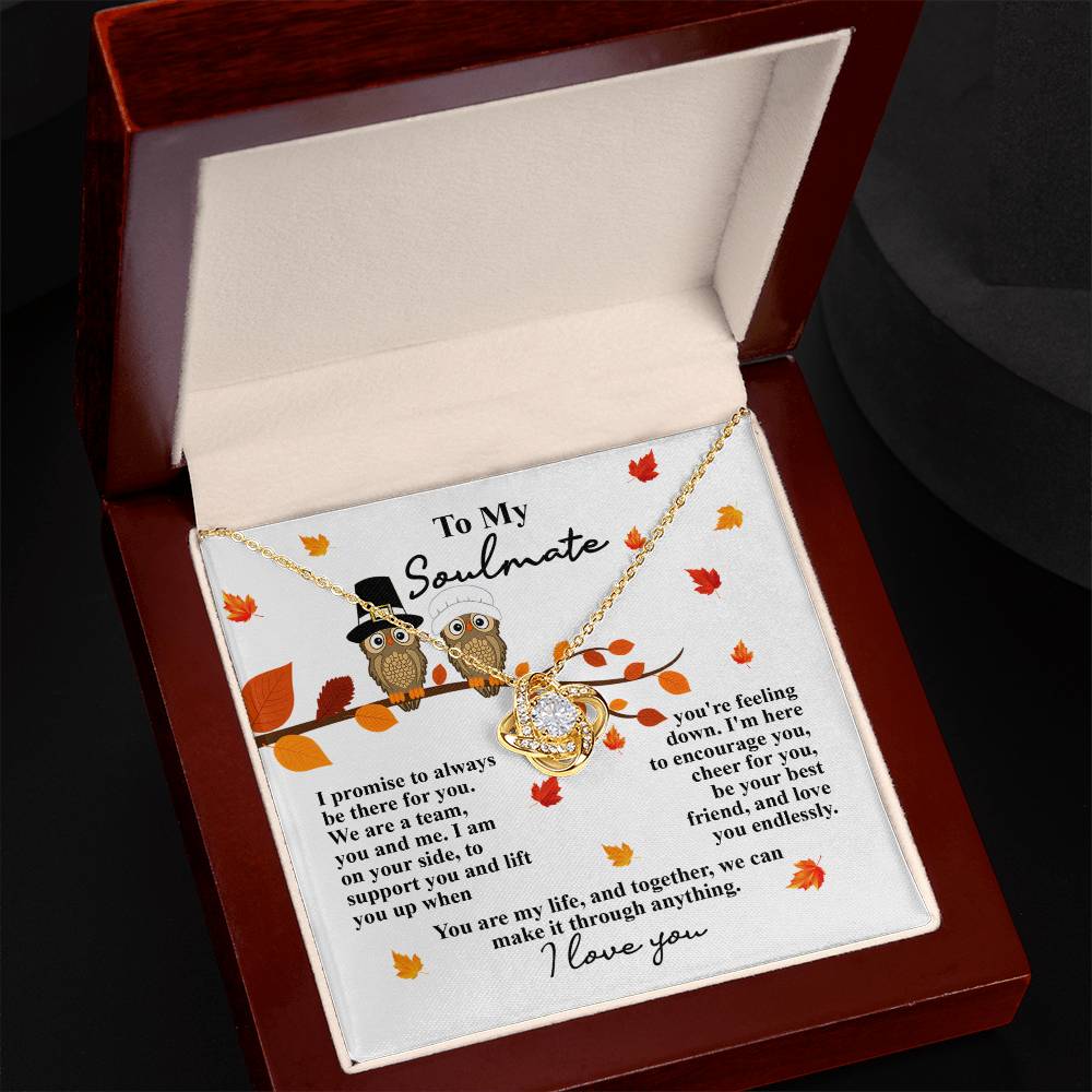 The Soulmate-Love You Endlessly - Love Knot Necklace comes in a jewelry box and includes a card featuring two owls on a branch along with a heartfelt poem addressed to your soulmate, beautifully adorned with cubic zirconia crystals.