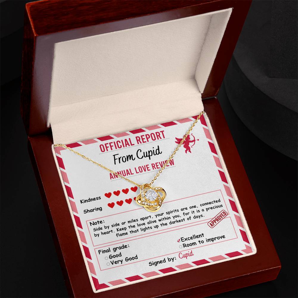 The Soulmate-Official Report Love Knot Necklace is heart-shaped, adorned with cubic zirconia, and comes in a jewelry box with a playful love review form, “Official Report From Cupid,” rating kindness and sharing as 'excellent' and 'good,' making it a perfect personalized gift for any occasion.