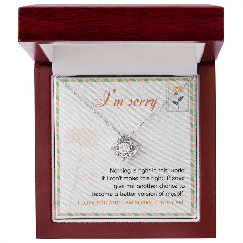 The "Sorry, Another Chance - Love Knot Necklace," featuring sparkling cubic zirconia crystals and crafted in 14k white gold, rests in a box. A note inside reads, "I'm sorry. Nothing is right in this world if I can't make this right. Please give me another chance to become a better version of myself. I love you and I am sorry, I truly am.