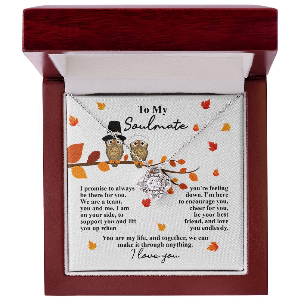 Presenting the Soulmate-Love You Endlessly - Love Knot Necklace, adorned with premium cubic zirconia crystals. This elegant piece is beautifully presented in a red box accompanied by a charming card decorated with two owls perched on a branch amidst fall leaves, and concludes with the heartfelt message "I love you.