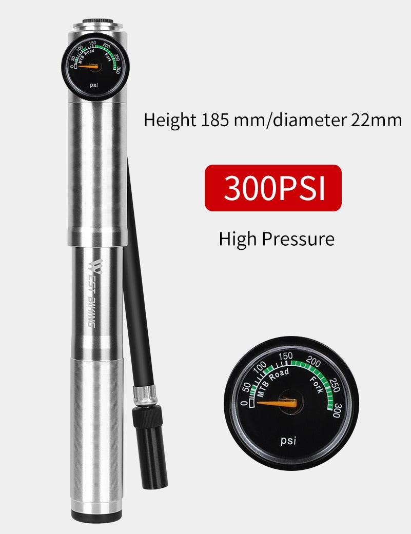 89G Portable 160 PSI High Pressure Mini Bicycle Pump - Golden Value SG
