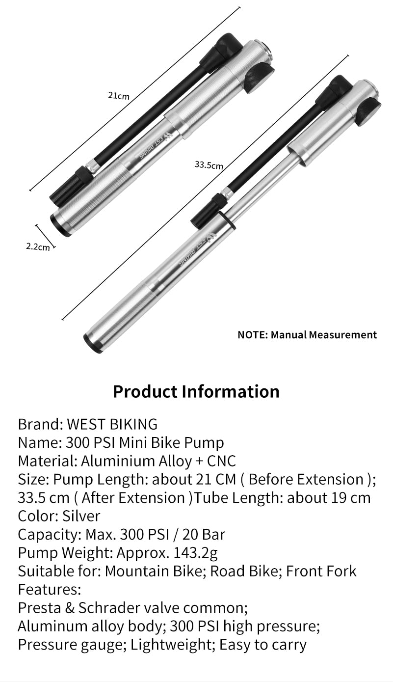 89G Portable 160 PSI High Pressure Mini Bicycle Pump - Golden Value SG