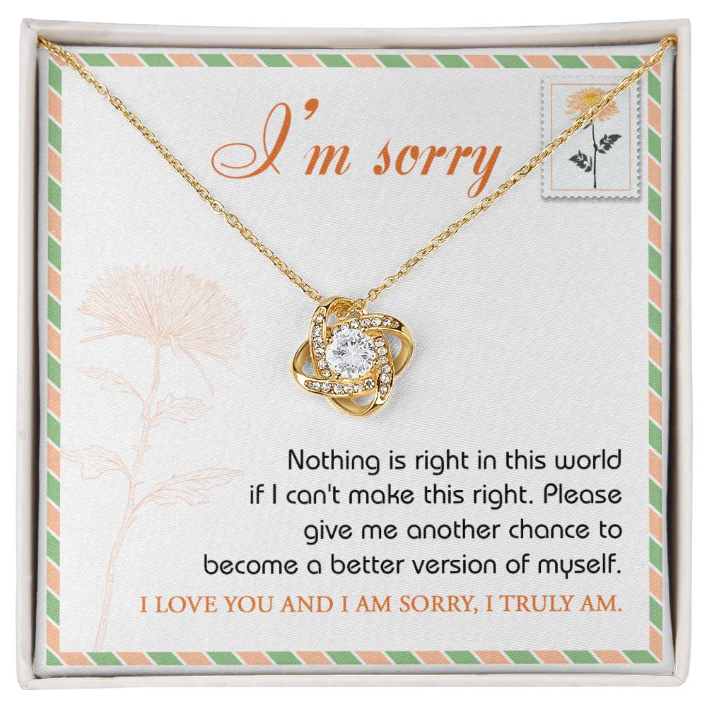 The "Sorry, Another Chance - Love Knot Necklace," featuring sparkling cubic zirconia crystals and crafted in 14k white gold, rests in a box. A note inside reads, "I'm sorry. Nothing is right in this world if I can't make this right. Please give me another chance to become a better version of myself. I love you and I am sorry, I truly am.