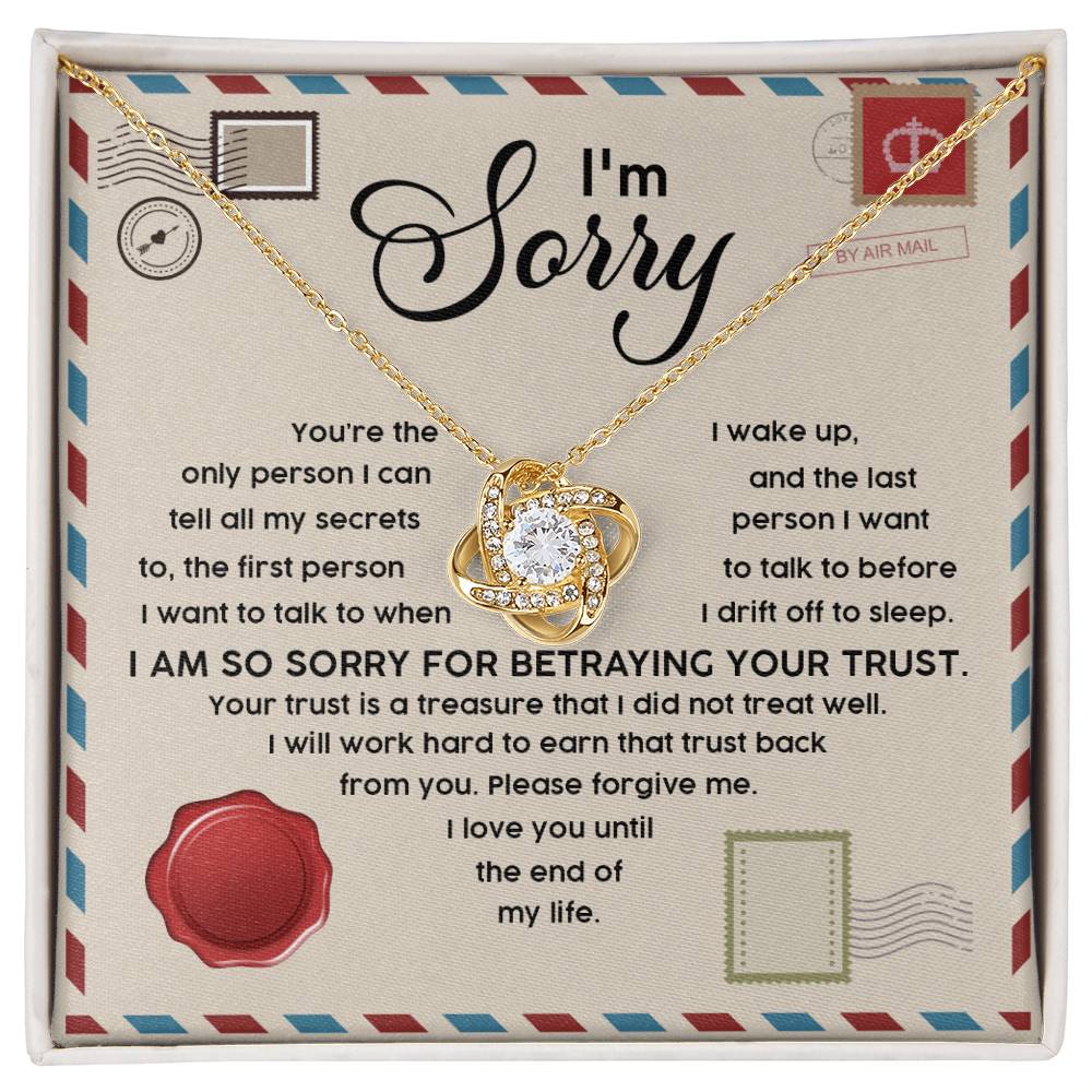 The Sorry-The Only - Love Knot Necklace, featuring a heart-shaped pendant, rests in a box adorned with cubic zirconia crystals and comes with an apology message, all elegantly framed within an envelope design.