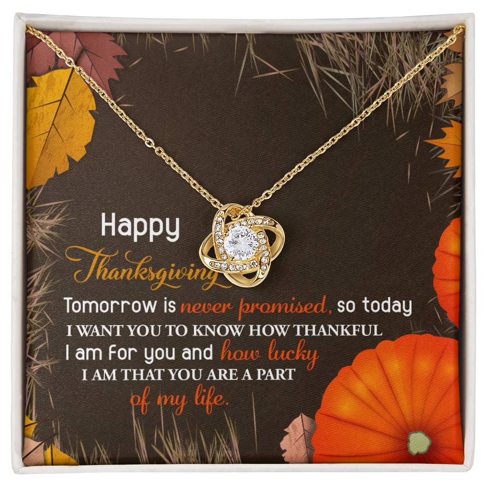 The Thanksgiving-How Lucky Love Knot Necklace, embellished with sparkling cubic zirconia crystals, is presented on a Thanksgiving-themed card featuring an appreciative message, accompanied by autumn leaves and pumpkins.