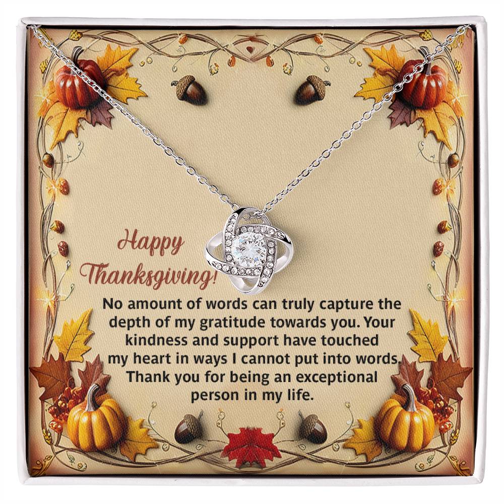 The Thanksgiving-Put Into Words - Love Knot Necklace, embellished with cubic zirconia crystals, is presented on a card with a touching Thanksgiving message and charming fall-themed illustrations of leaves and pumpkins. This personalized gift perfectly embodies the warmth and gratitude of the season.