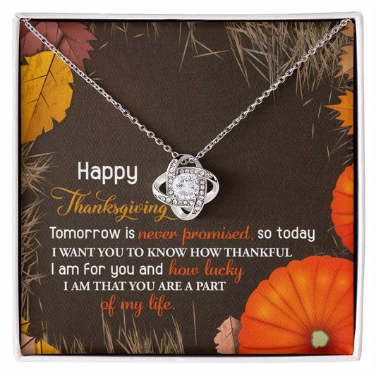 The Thanksgiving-How Lucky - Love Knot Necklace, embellished with cubic zirconia crystals, is beautifully presented on a Thanksgiving-themed card adorned with pumpkins and leaves. It includes a heartfelt message of gratitude in various fonts, making it a truly personalized gift for the season.