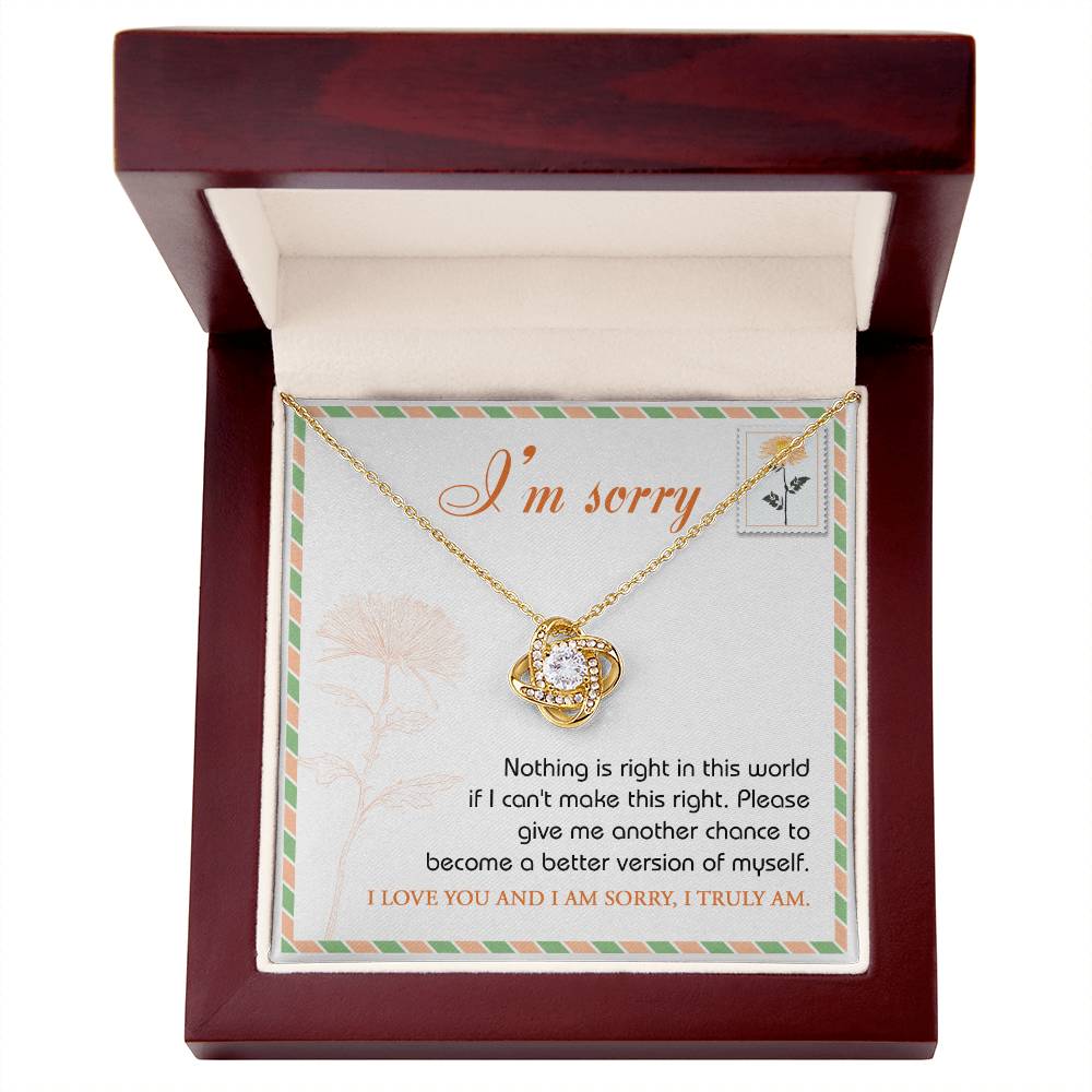 The "Sorry, Another Chance - Love Knot Necklace," featuring sparkling cubic zirconia crystals and crafted in 14k white gold, rests in a box. A note inside reads, "I'm sorry. Nothing is right in this world if I can't make this right. Please give me another chance to become a better version of myself. I love you and I am sorry, I truly am.