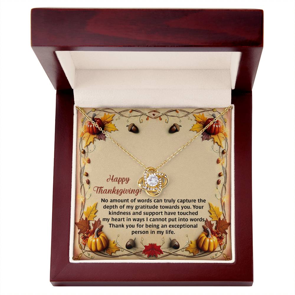 The Thanksgiving-Put Into Words - Love Knot Necklace features stunning cubic zirconia crystals and is elegantly presented in a display box. Inside, you'll find a heartfelt Thanksgiving message adorned with autumn leaves and pumpkins, making it the perfect personalized gift for your loved one.