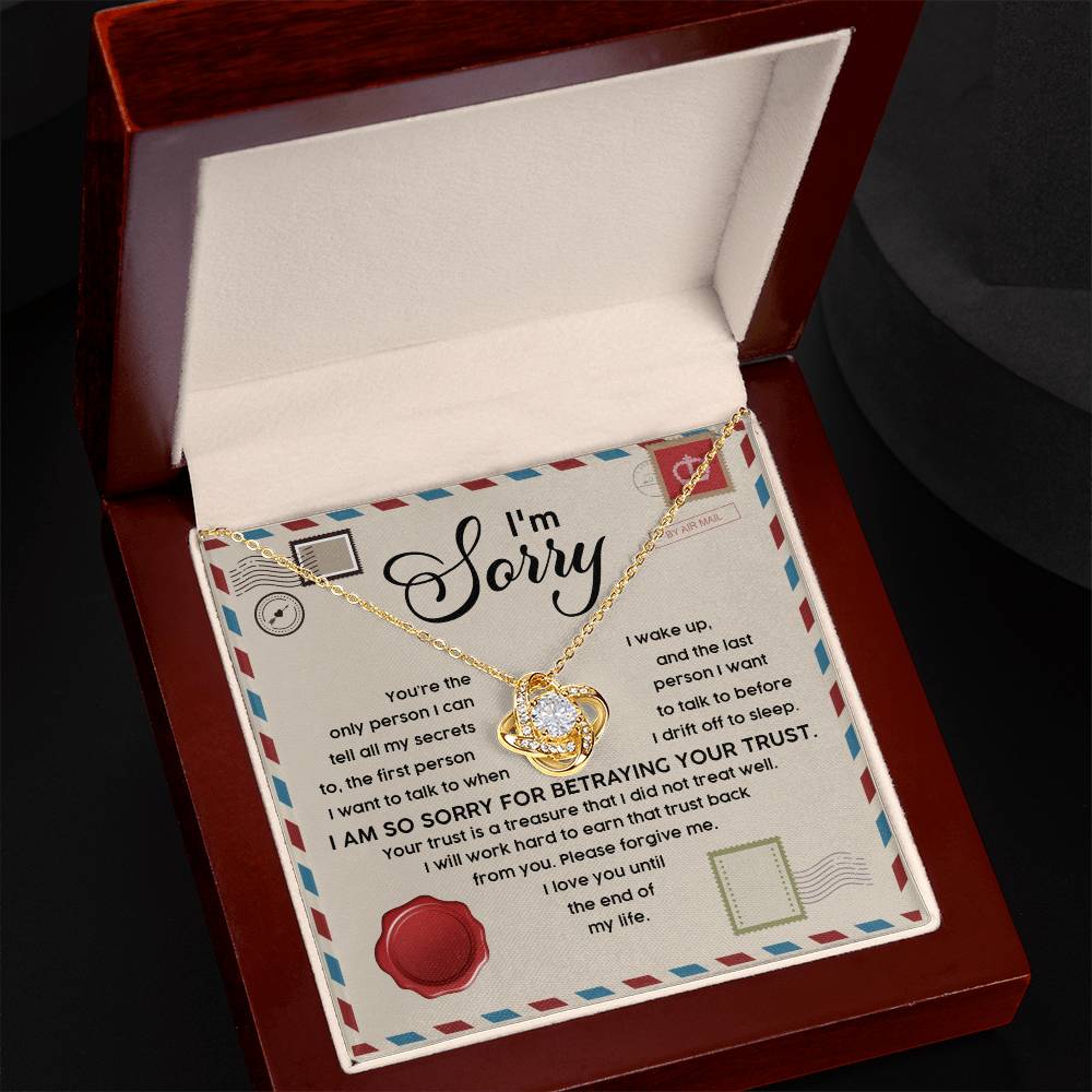 The "Sorry-The Only - Love Knot Necklace," a 14k white gold piece featuring a heart-shaped pendant adorned with a shimmering Cubic Zirconia, is displayed in an open brown jewelry box. A note inside reads, "I'm Sorry," followed by an apology message.