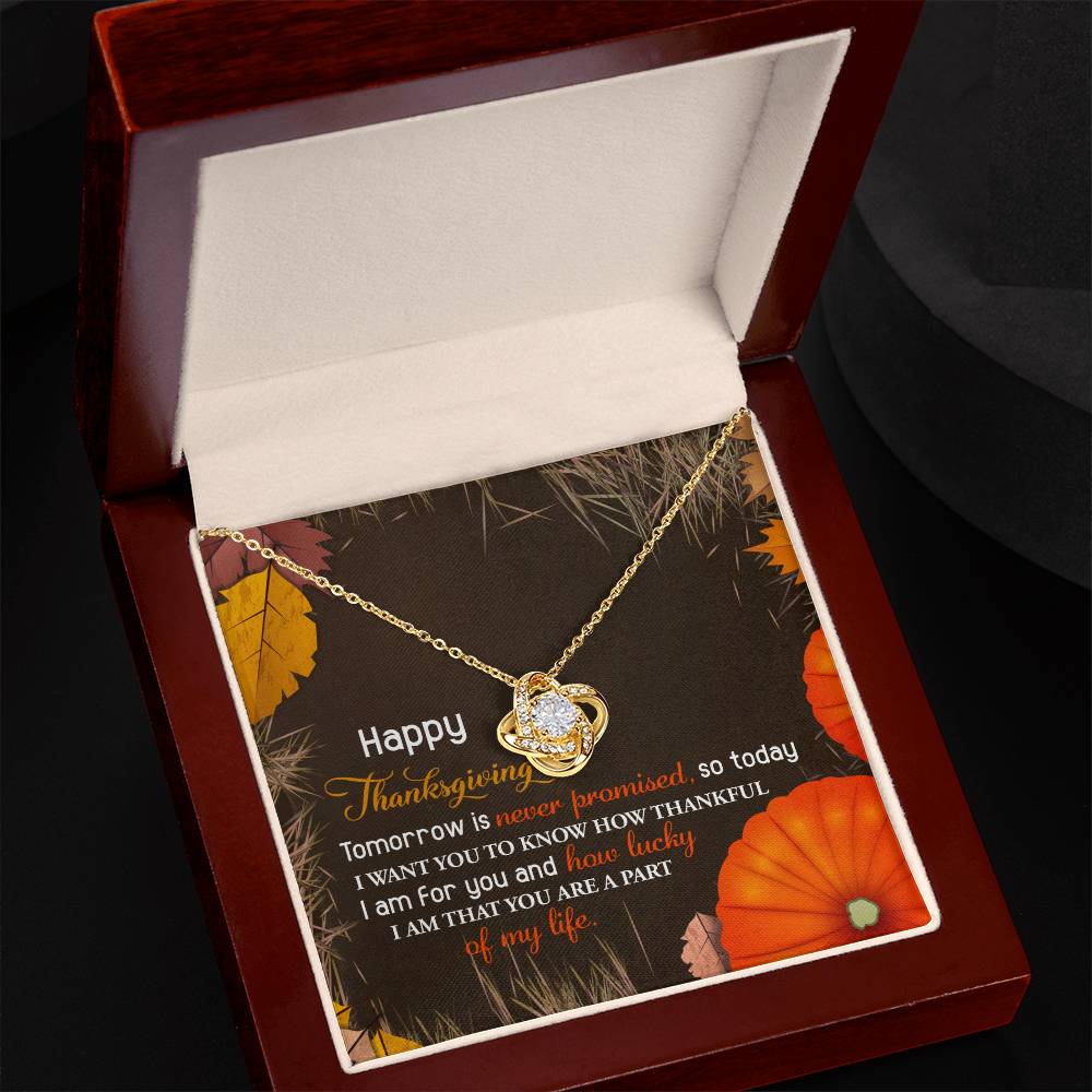 The Thanksgiving-How Lucky - Love Knot Necklace, featuring a heart-shaped pendant, is elegantly showcased in an open jewelry box lined with white fabric. Embellished with sparkling cubic zirconia crystals, it serves as the ideal personalized gift. The necklace comes with a card carrying a heartfelt Thanksgiving message.