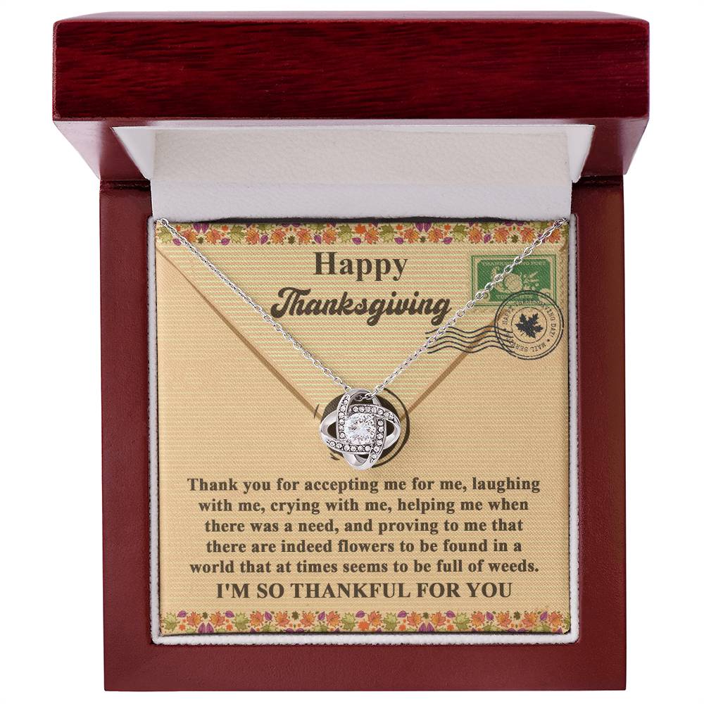 The Thanksgiving-Proving To Me - Love Knot Necklace, showcasing a yellow gold finish and dazzling cubic zirconia, is beautifully presented in a box with a heartfelt message of gratitude for support and companionship this Thanksgiving.