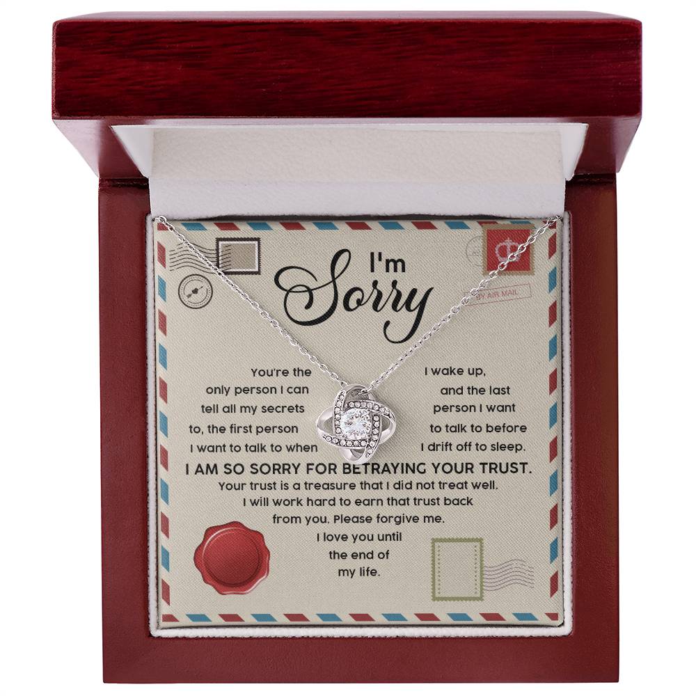 A classic gift, the Sorry-The Only - Love Knot Necklace with cubic zirconia crystals is beautifully presented in a jewelry box. The box lid features a note saying "I'm Sorry," accompanied by a heartfelt apology message printed in letter style.