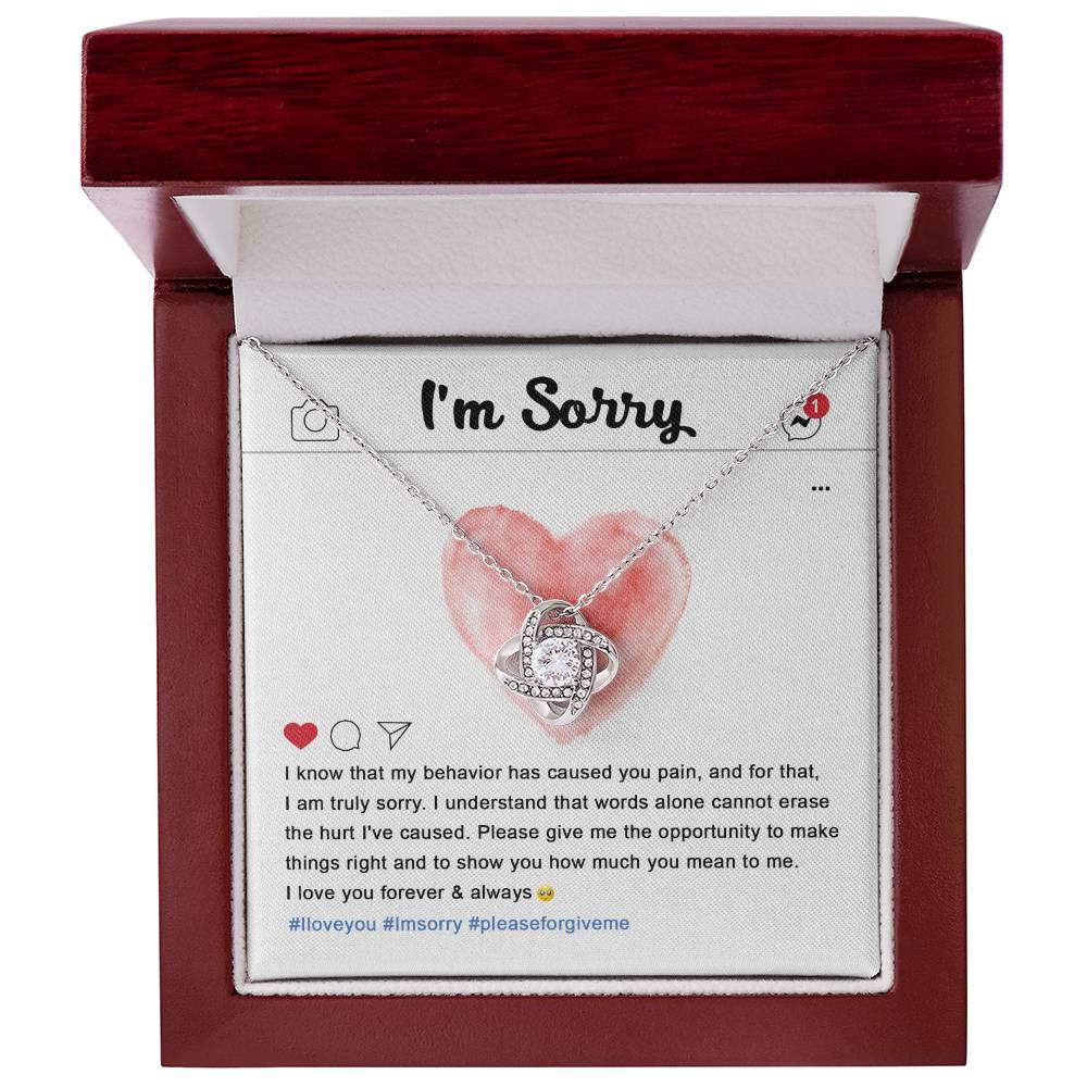 The Sorry-Cannot Erase - Love Knot Necklace, adorned with cubic zirconia crystals, sits on a card featuring an apology message, a pink heart illustration, and hashtags #Iloveyou, #Imsorry, and #pleaseforgiveme.