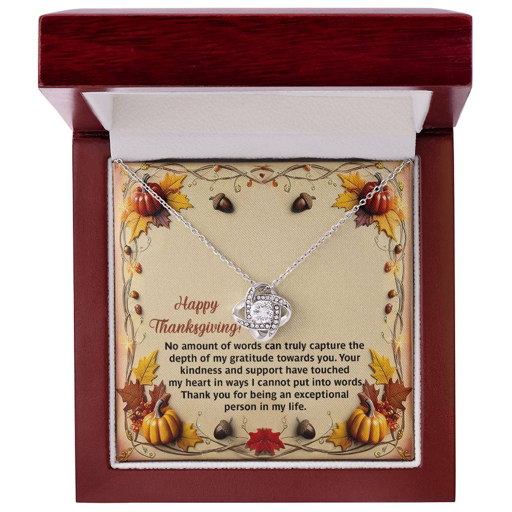 Crafted as a personalized gift, the Thanksgiving-Put Into Words - Love Knot Necklace is beautifully displayed in a decorative box featuring a Thanksgiving-themed card with autumn leaves and pumpkins. Accented with sparkling cubic zirconia crystals, the necklace is paired with a heartfelt expression of gratitude.