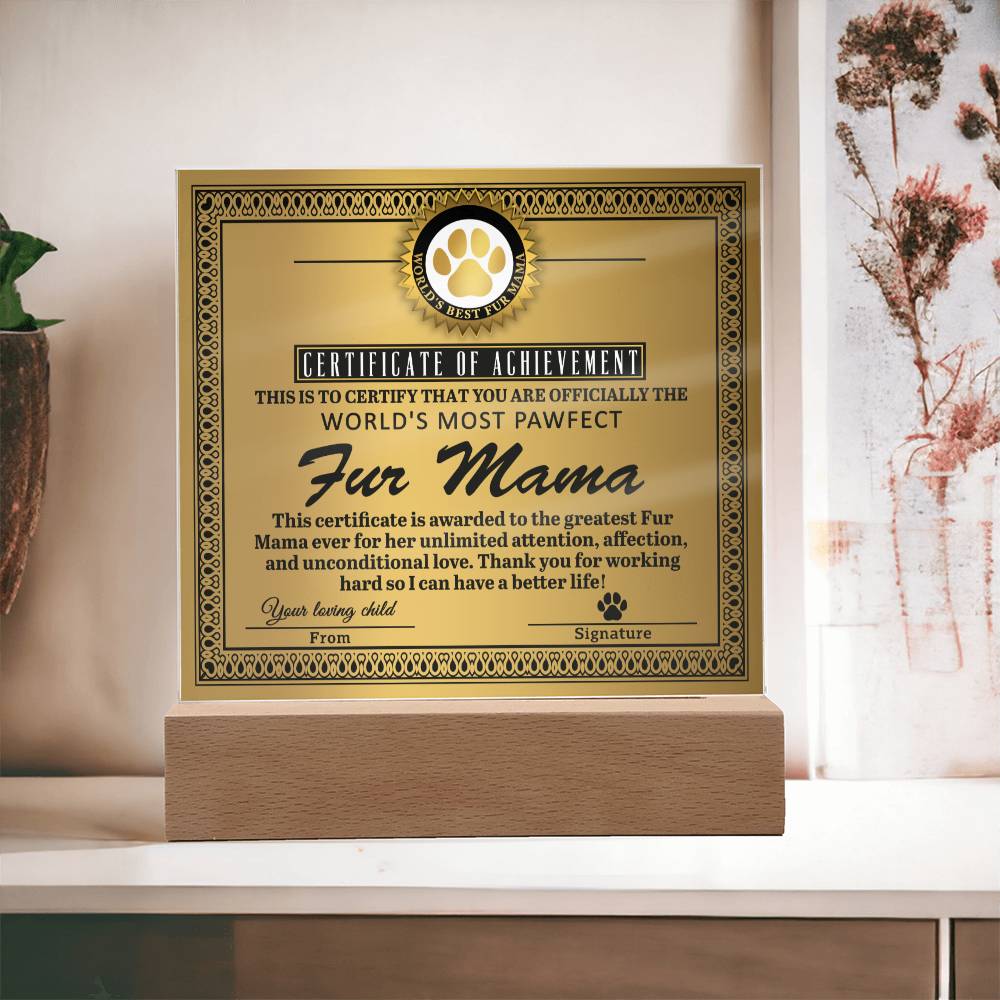 A gold-themed To Fur Mama, Certificate of Achievement - Acrylic Square Plaque proclaims the recipient as the "world's most perfect fur mama." It sits on an LED wooden base.