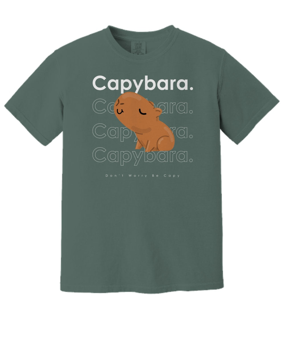 Don’t Worry Be Capy Cute Capybara Lover T-Shirt | Best Capybara Lover Gift For Bestie, Girlfriend, Boyfriend | Funny Birthday Gift For Mom